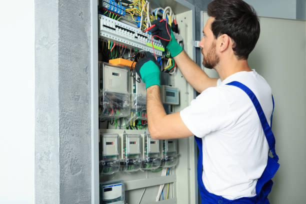 Best Electrician for Home Renovation  in Lakefield, MN